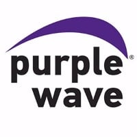 Purple Wave Auction